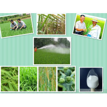 Produtos Químicos Agrícolas Weedicide Herbicide 97% Tc Mix with Metolachlor, S-Metolachlor